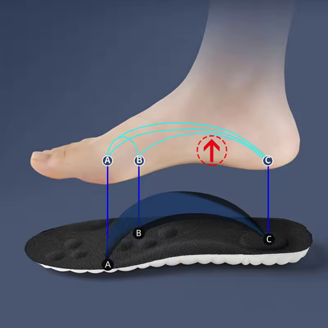 Plantillas para Zapatos